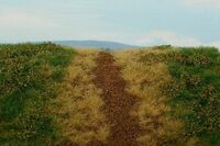 Embankment - Spring With Dry Turfs