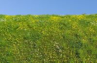 Blooming Meadow - Spring - Image 1